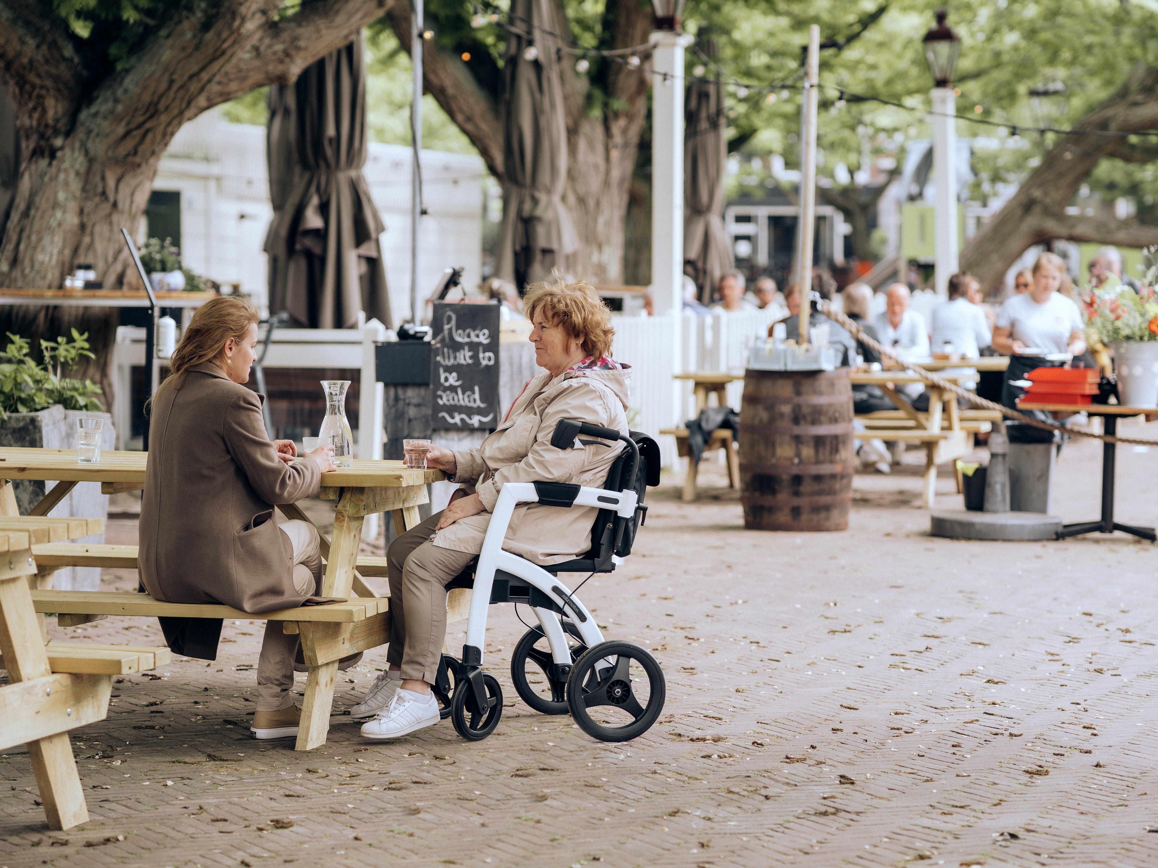 42073831-rollator-8537539.jpg